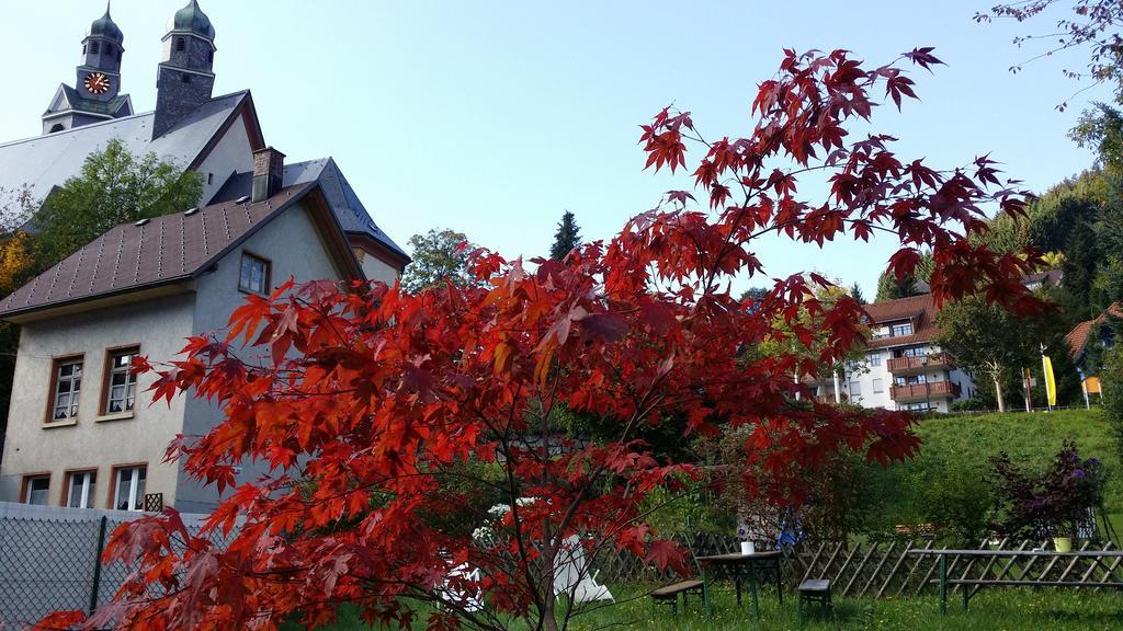 Europaeisches Gaeste- Und Seminarhaus Todtmoos Exterior foto